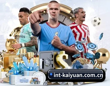 int-kaiyuan.com.cn的故事